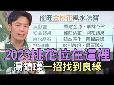 2023桃花位在洗手間|2023兔年風水佈局｜催桃花放「1物件」在西南方＋升 